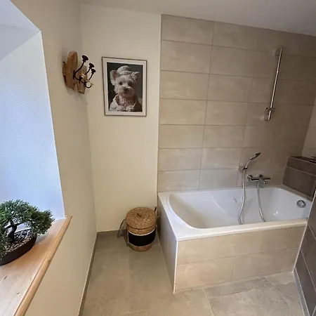 Au Coeur De L'allier, Animaux Acceptes, Wifi Et Climatisation *